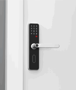 Notice traveler of the world